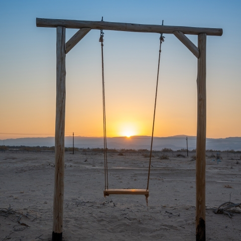 Lotan_swing_03_small.jpg